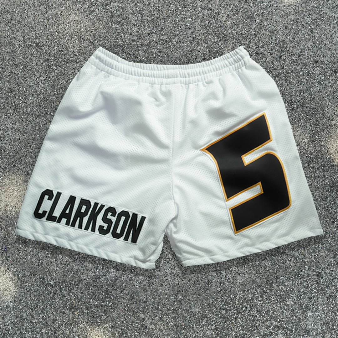 Tiger casual sports mesh shorts