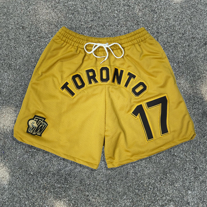 Street Basketball Raptors Mesh Shorts