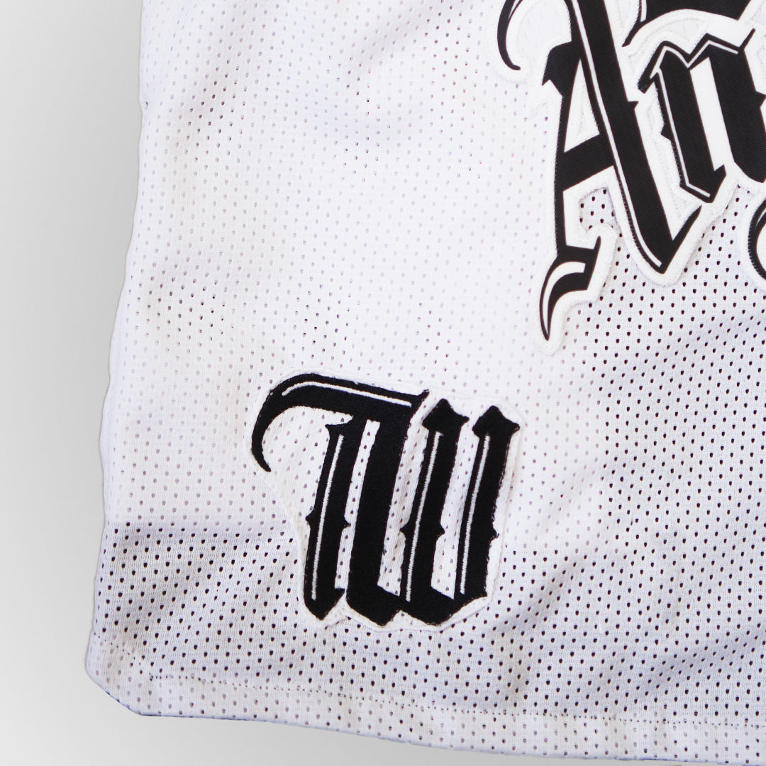 Double Face Los Angeles Street Basketball Mesh Shorts